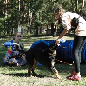 Warsztaty agility Vogue Travel