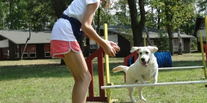 Lato z agility Vogue Travel