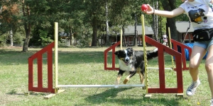 Hopki agility Vogue Travel