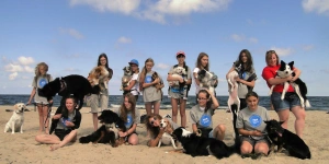 Psy na plaży Vogue Travel