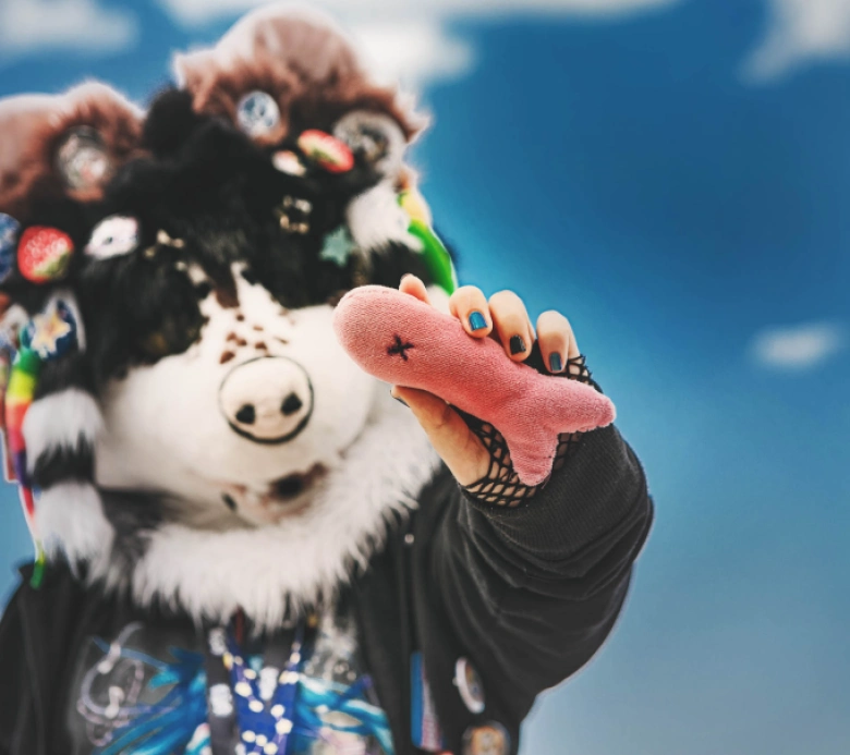 Obóz zimowy furry